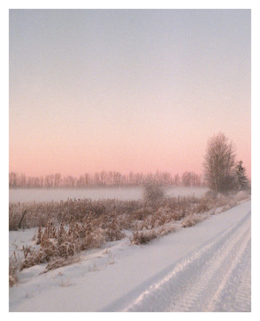 I can't paint, so expired film will have to do [Canon A-1 + Superia 800], shot on CANON A-1