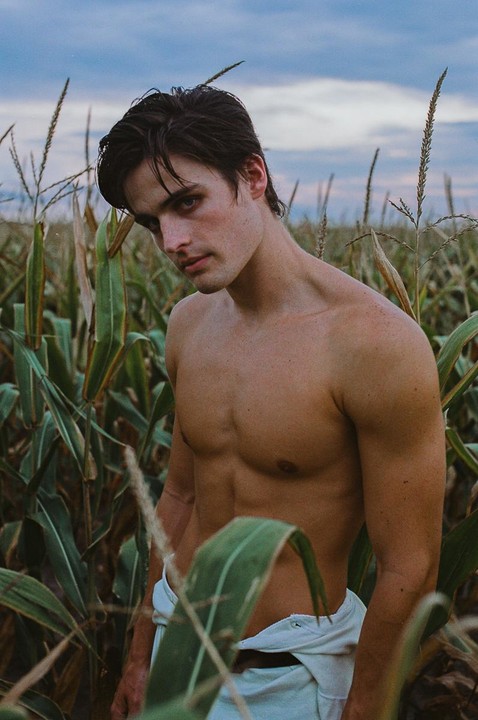 A man with a bare torso stands in a cornfield under a cloudy sky.