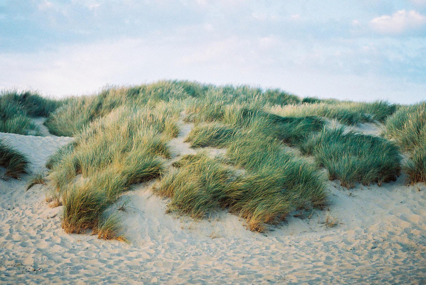 A sandy dune is covered with patches of green grass under a light blue sky.