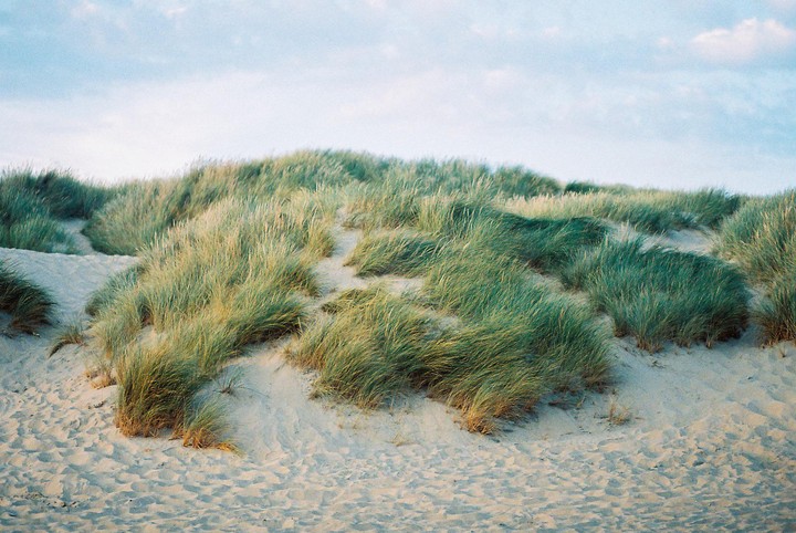 A sandy dune is covered with patches of green grass under a light blue sky.
