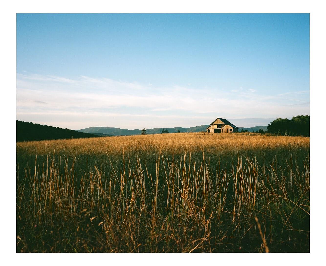 An old barn stands in a field of tall grass with mountains in the background under a clear sky.