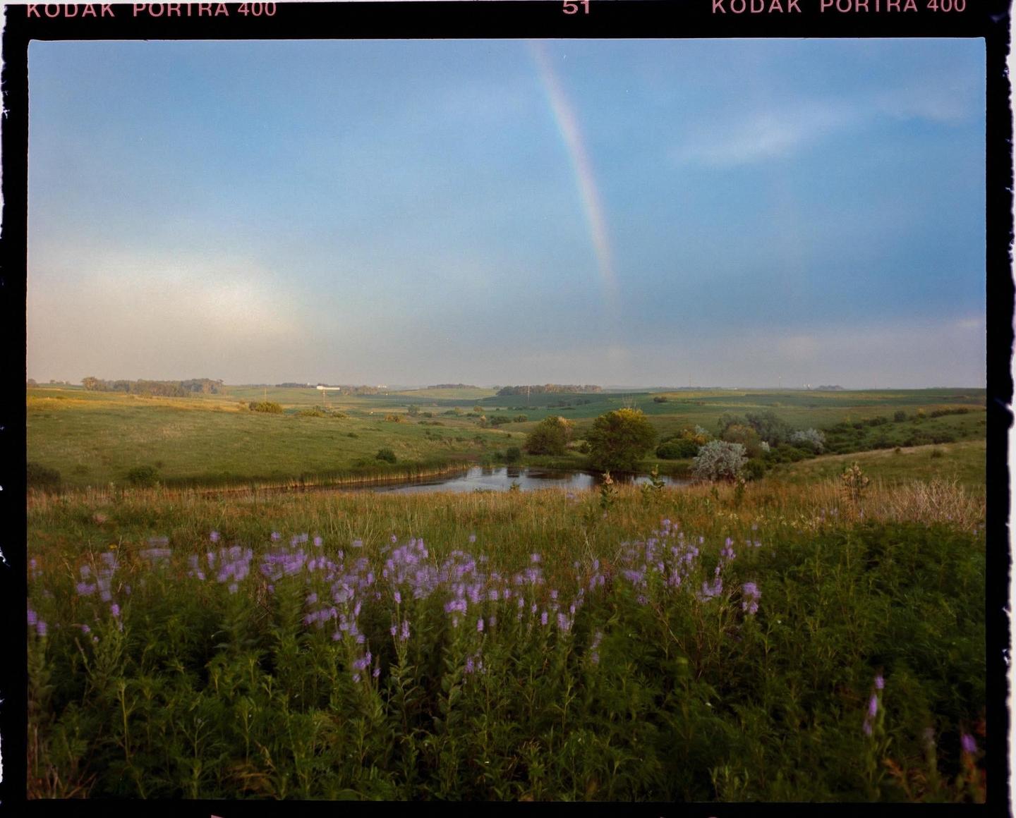 A rainbow arches over a green landscape with a small pond and purple wildflowers in the foreground.