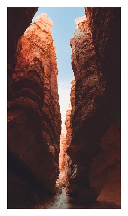 A narrow canyon with towering red rock walls is illuminated by sunlight from above.