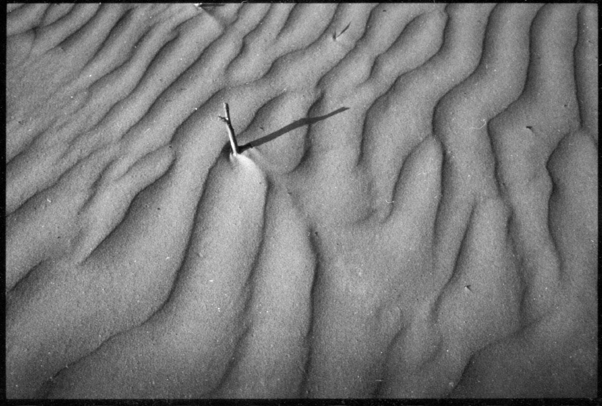 A small stick casts a long shadow across rippled sand.