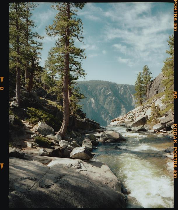 A river flows through a rocky canyon with pine trees on either side and mountains in the distance.