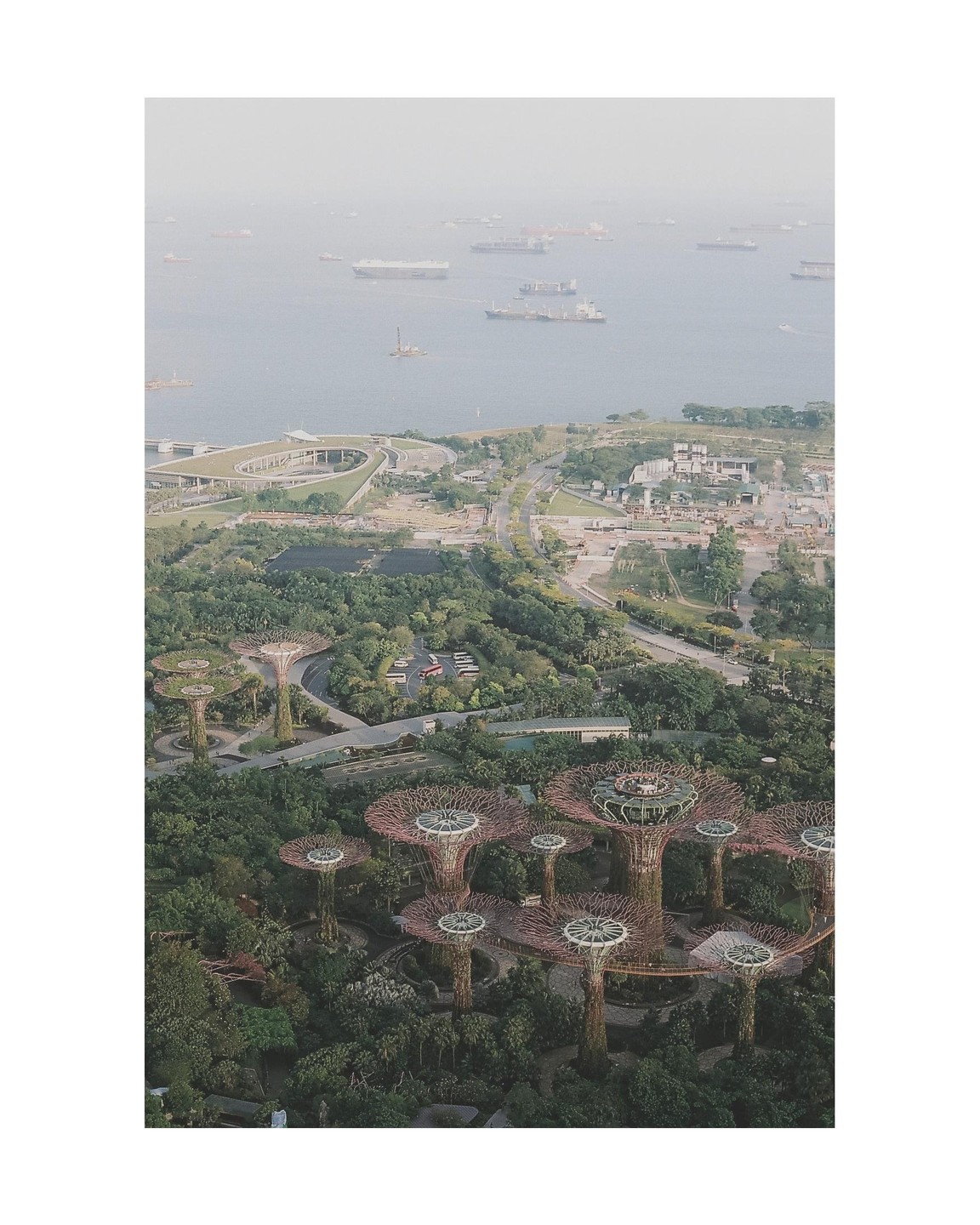 An aerial view shows the Supertree Grove in Singapore with many ships in the hazy bay.