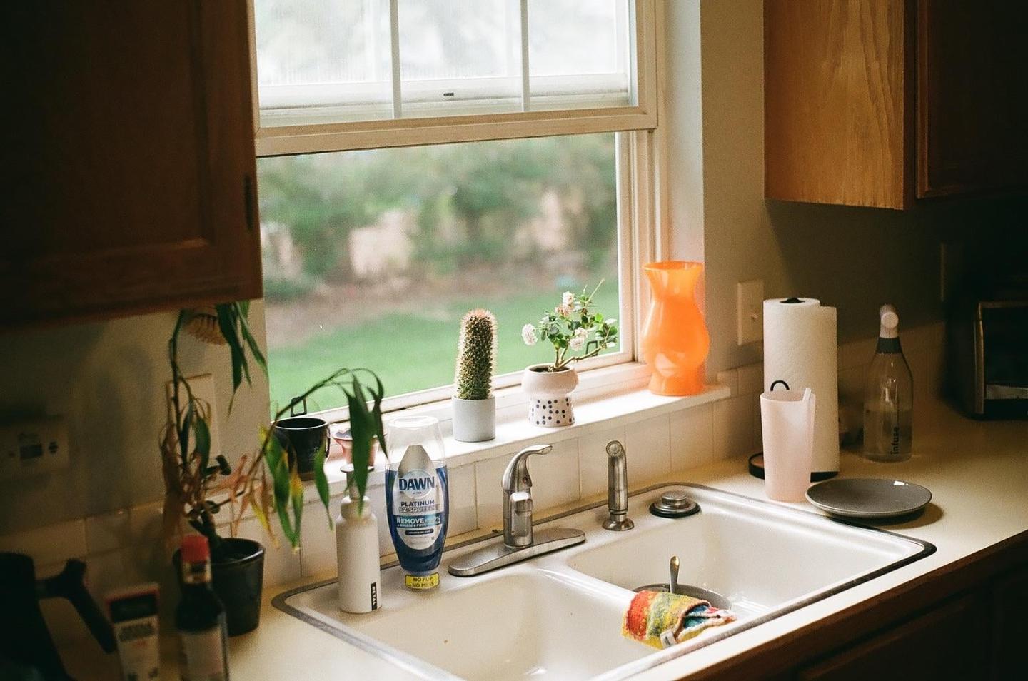 A kitchen sink with a window overlooking a green yard is surrounded by various household items and plants.