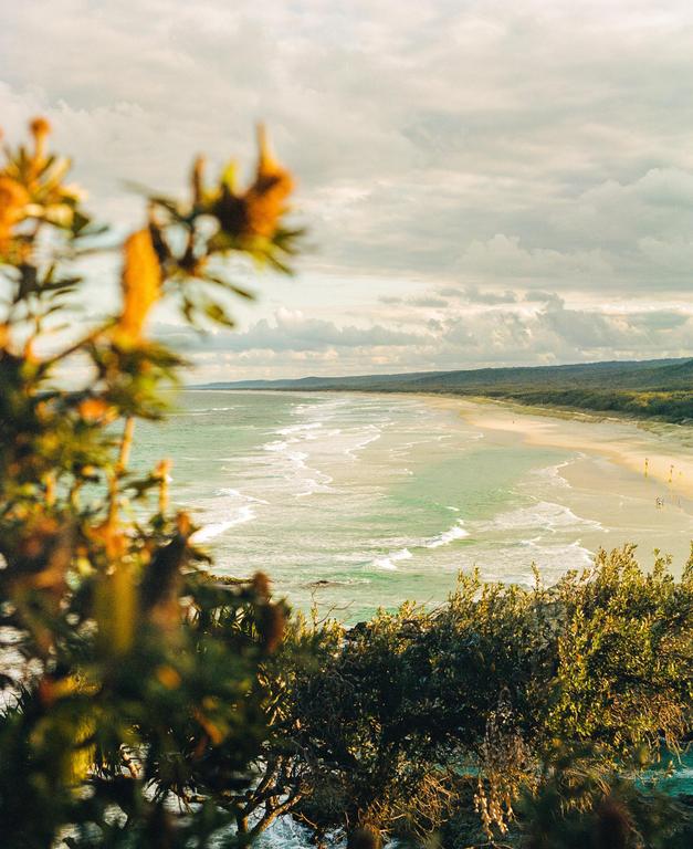 A long sandy beach with waves breaking on the shore is seen from a high vantage point with foliage in the foreground.