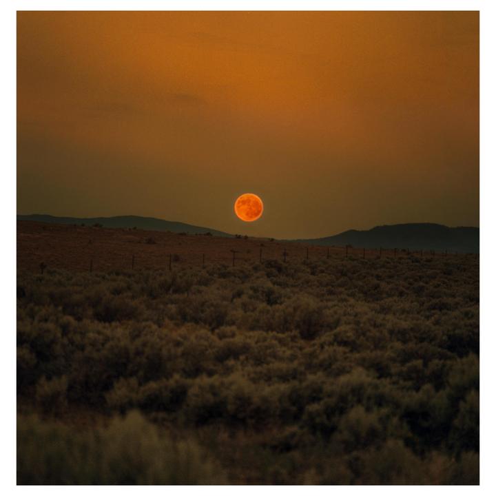 A large orange moon hangs over a field of brush with mountains in the distance.