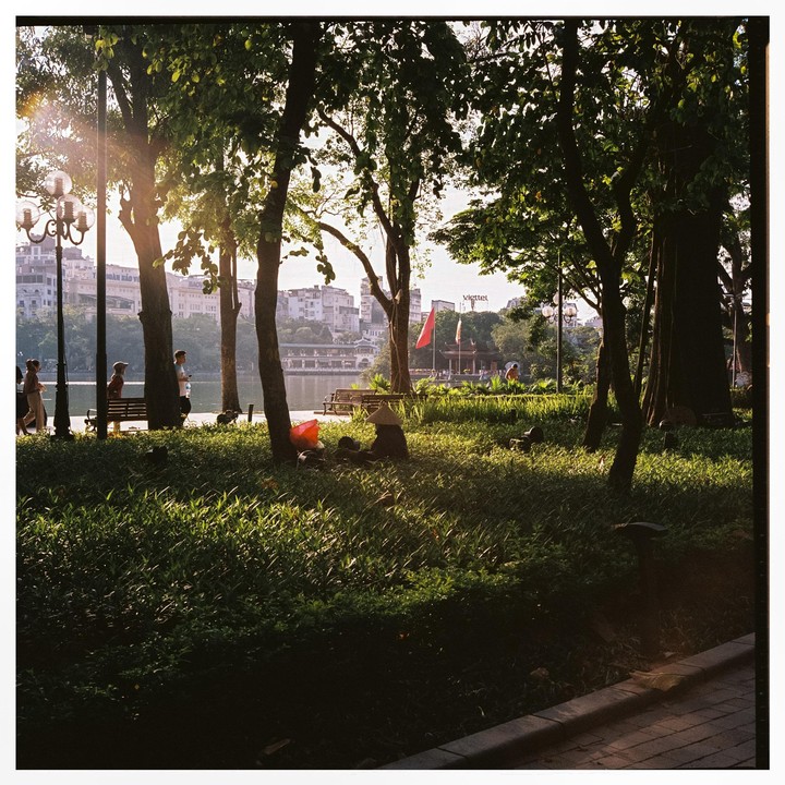 Sunlight streams through trees onto a grassy park beside a lake with buildings in the background.