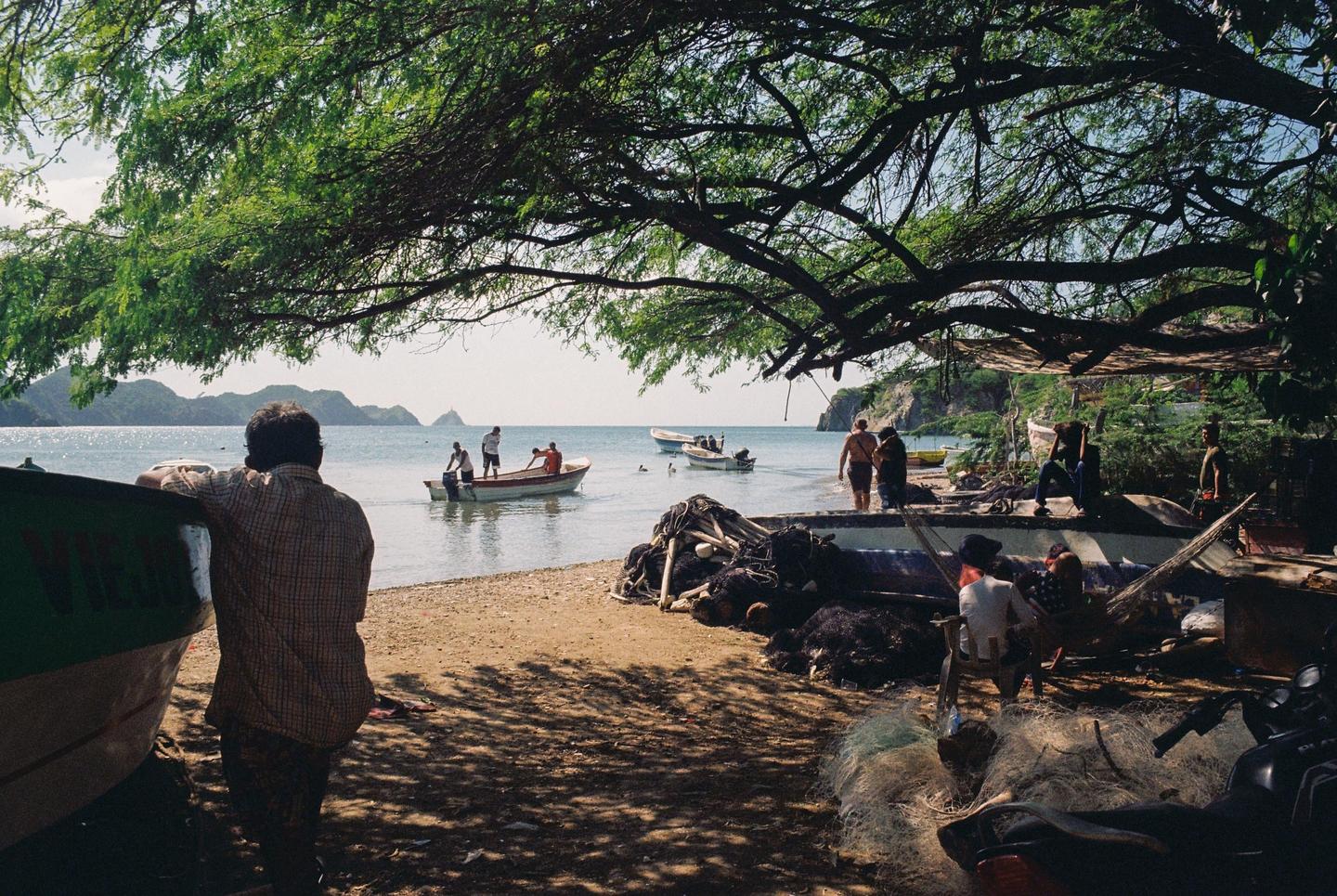 A man stands on a sandy beach next to a boat, looking out at other boats and people in the water, all under the shade of a large tree.
