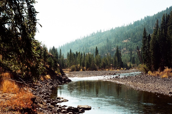 A river flows through a rocky bed with pine trees on the banks and a forested mountain in the background.