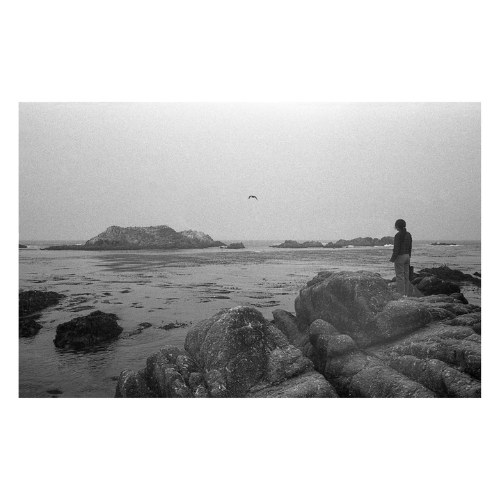 A person stands on a rocky shore looking out at the ocean with a bird flying overhead.