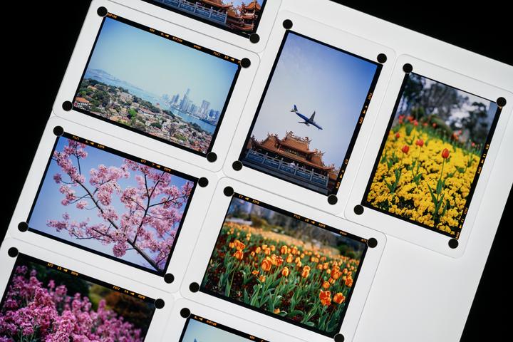 A grid of six photographs shows a cityscape, an airplane flying over a temple, yellow and orange tulips, and pink blossoms.