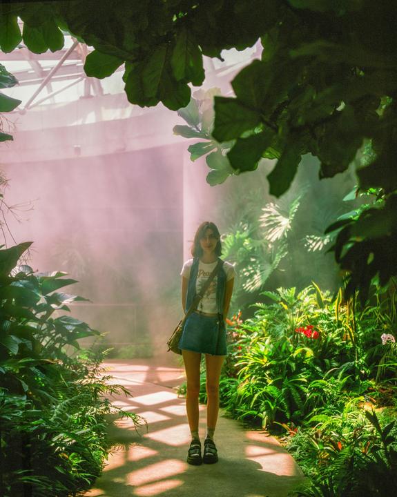 A woman stands on a path surrounded by lush green plants in a hazy, sunlit greenhouse.