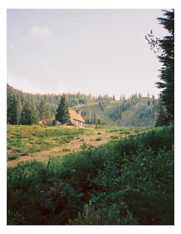 A lone cabin sits on a grassy hill surrounded by trees under a bright sky.