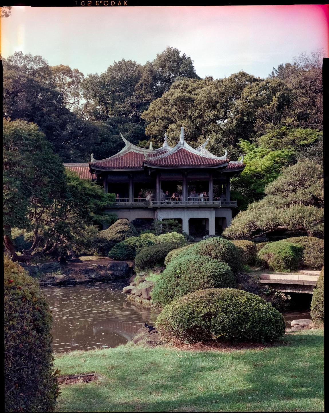 A traditional Japanese building with a red tiled roof stands among lush green trees and bushes, overlooking a pond.