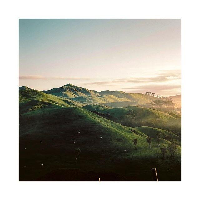 Rolling green hills are illuminated by the morning sun, with scattered trees and a few sheep grazing in the distance.