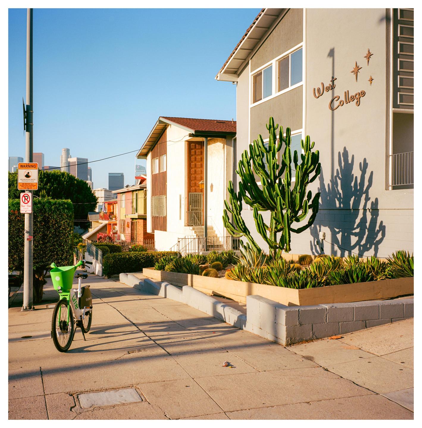 A green bicycle is parked on a sidewalk in front of apartment buildings with a cactus in the foreground and a city skyline in the distance.