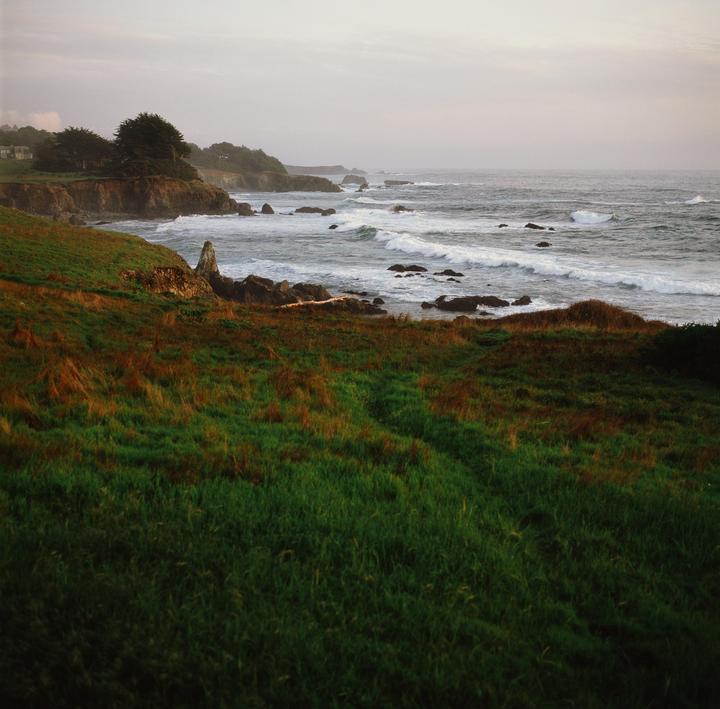 Waves crash against a rocky coastline with green and brown grass in the foreground and trees on a cliff in the distance.