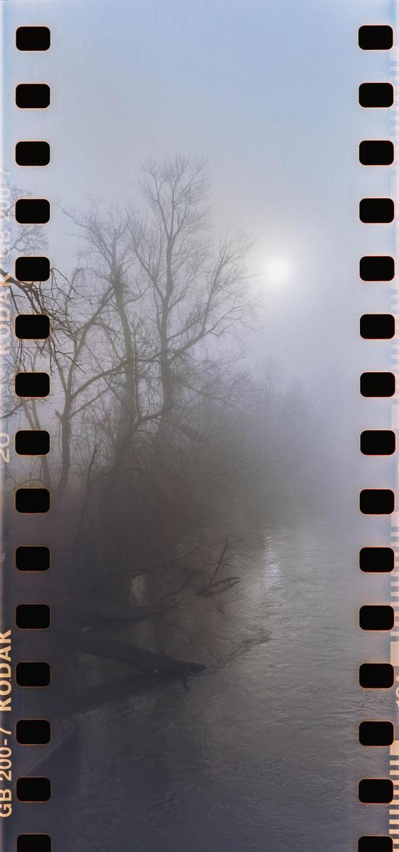 A river flows past bare trees on a hazy day.