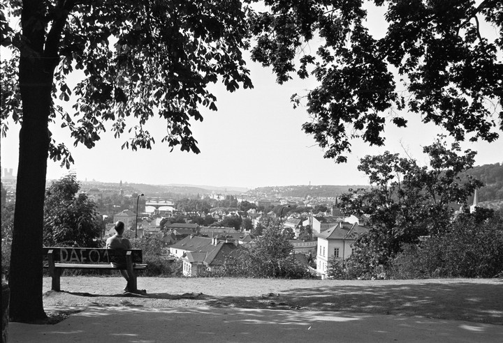 A man sits on a bench overlooking a city with bridges over a river, framed by tree branches.