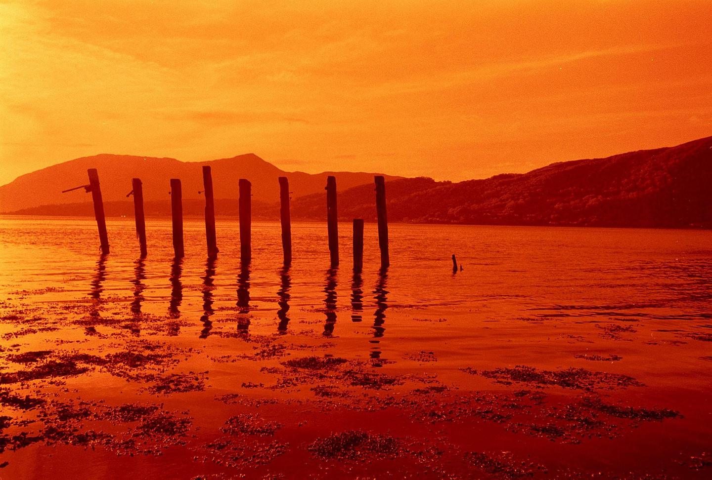 Several wooden posts stand in a body of water with mountains in the background under an orange sky.