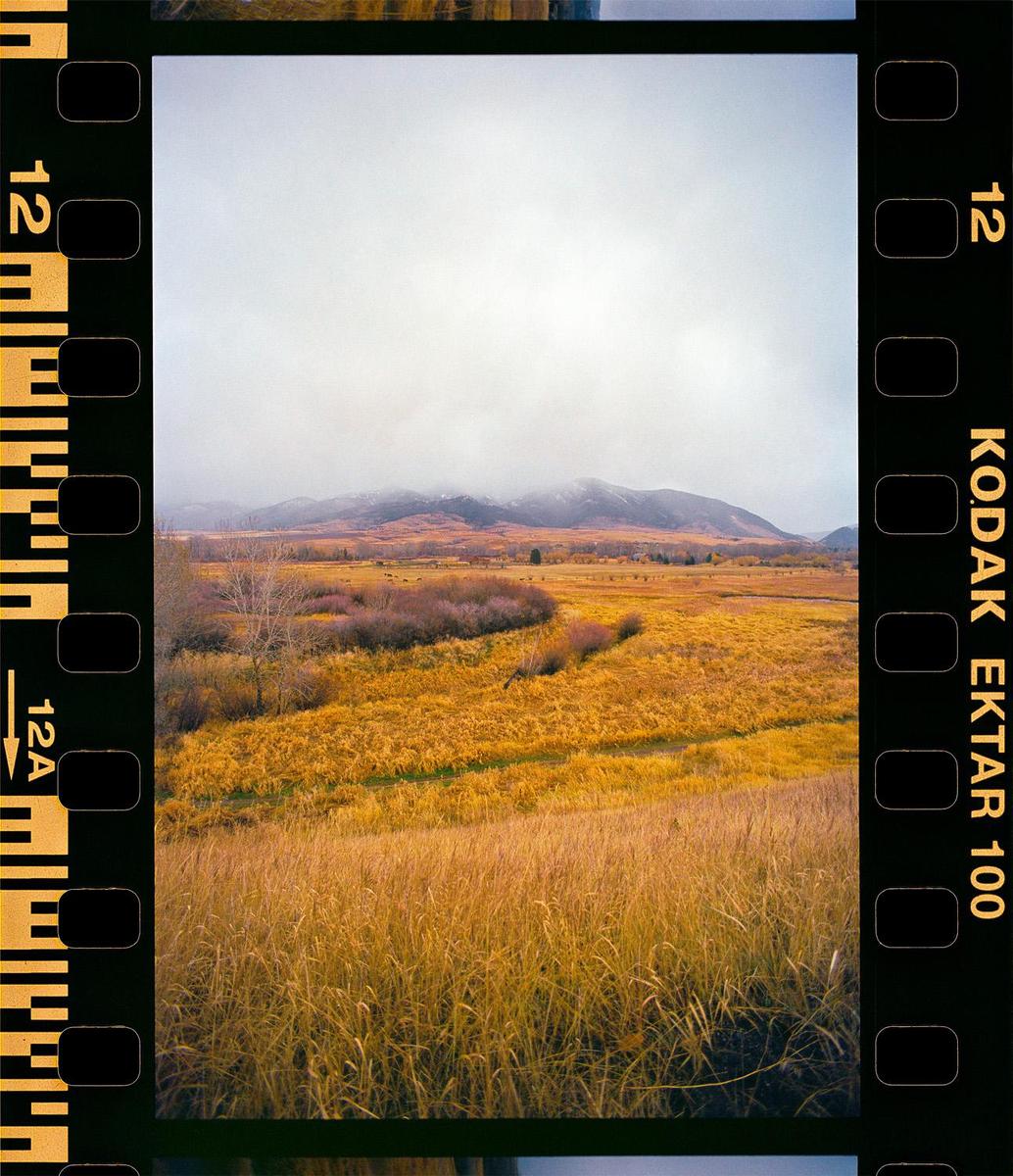 A vast field of golden grass and shrubs stretches towards distant mountains partially obscured by a hazy sky.