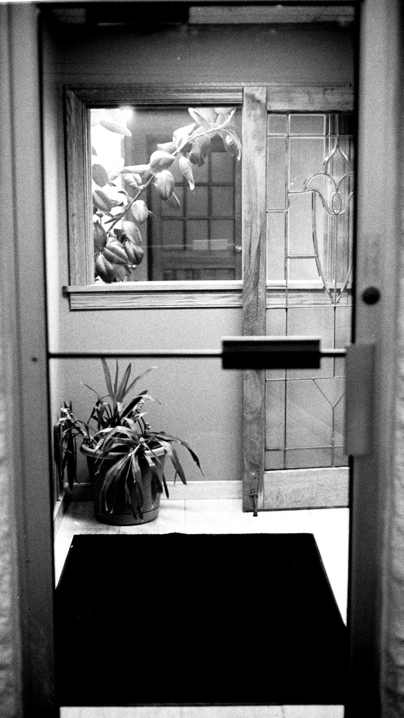 A black and white photo shows a potted plant next to a door with a window and a black mat on the floor.
