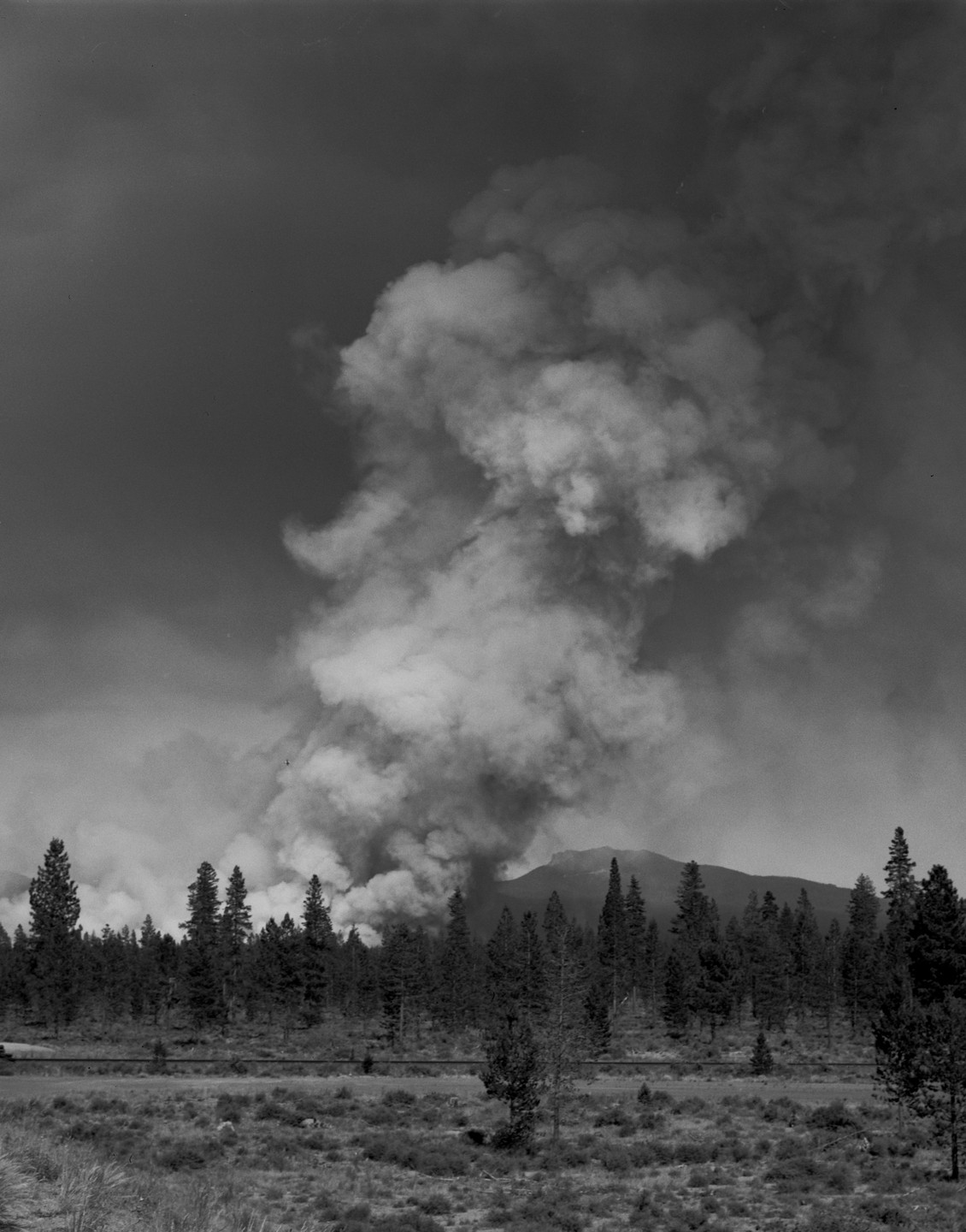 A large plume of smoke rises above a forest with a mountain in the background.