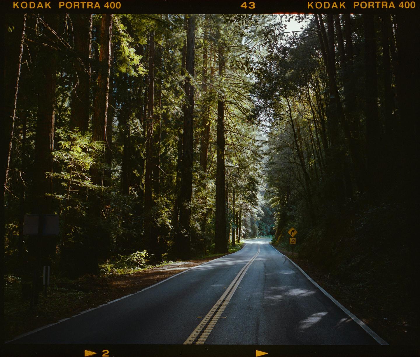 A winding road with double yellow lines passes through a dense forest with tall trees.
