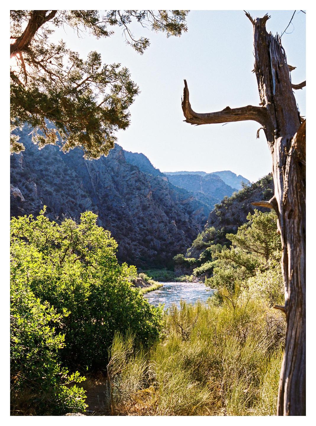 A river flows through a canyon with trees and bushes in the foreground.