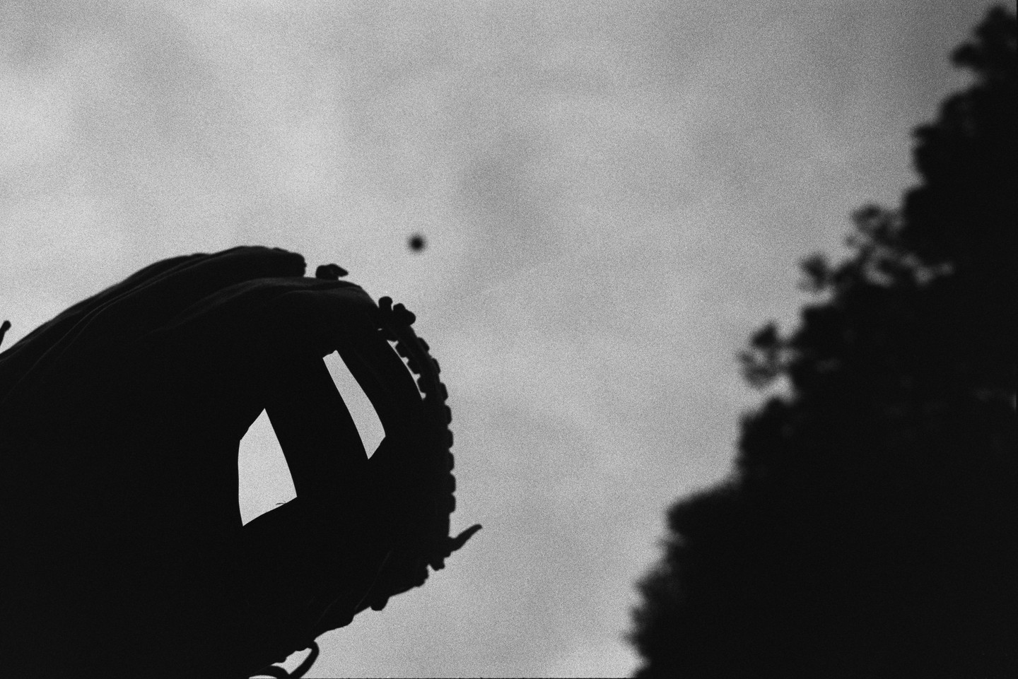 A baseball glove is silhouetted against the sky with a small ball in the distance and a tree on the right.