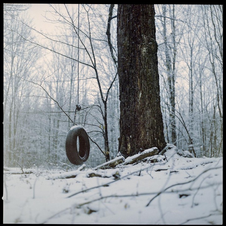 A tire swing hangs from a large tree in a snowy forest.