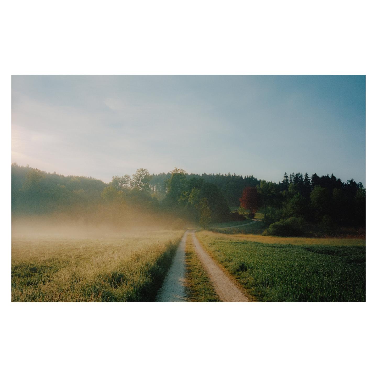A dirt road leads through a misty field towards a forest under a clear sky.