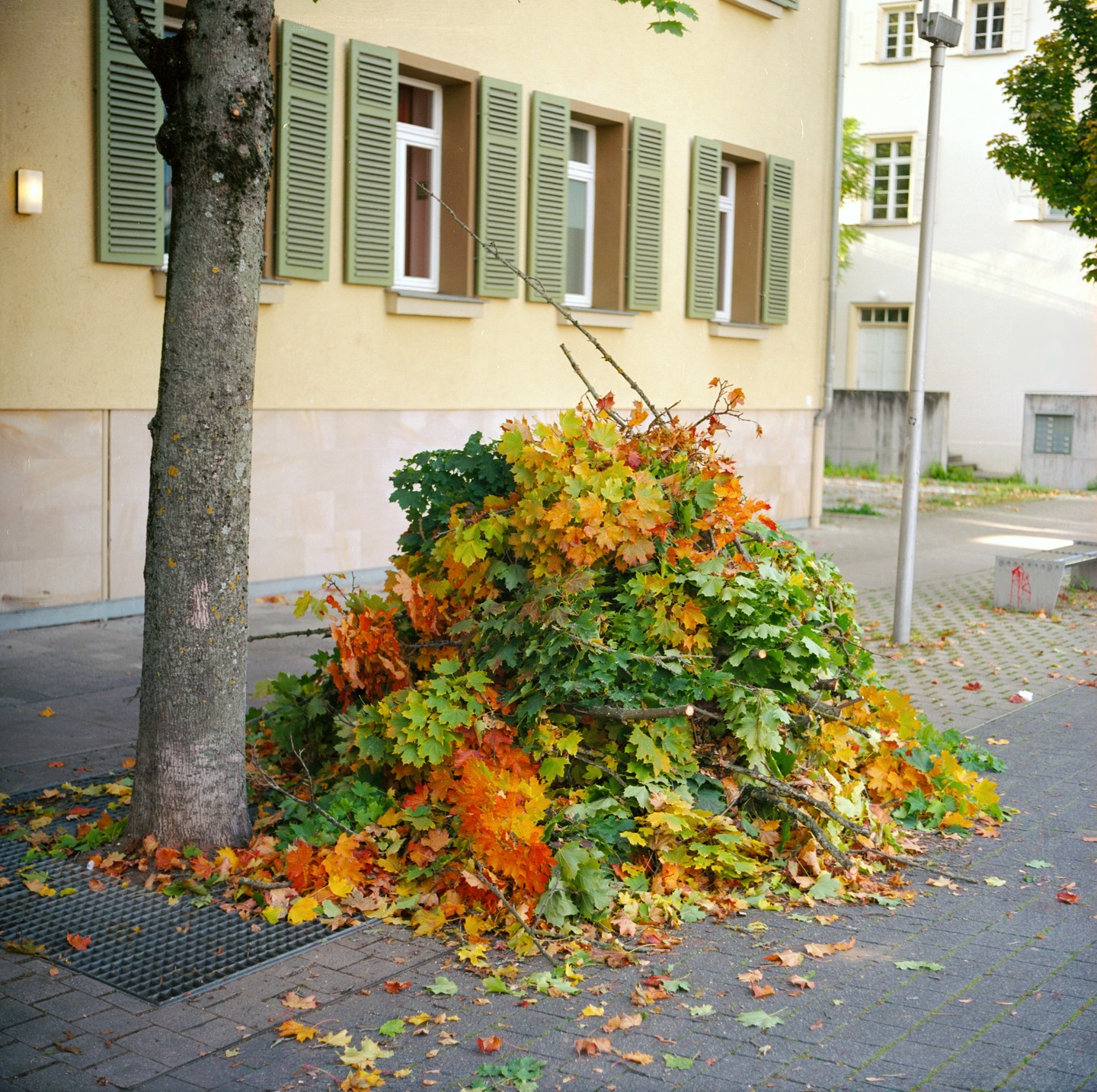A large pile of colorful autumn leaves and branches sits on a sidewalk next to a tree and a building with green shutters.