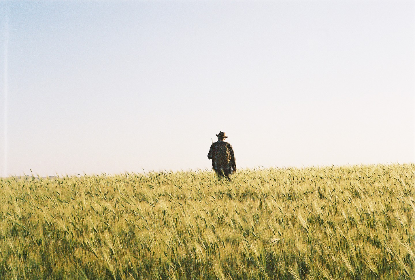 A man wearing a hat and camouflage jacket walks through a field of barley.
