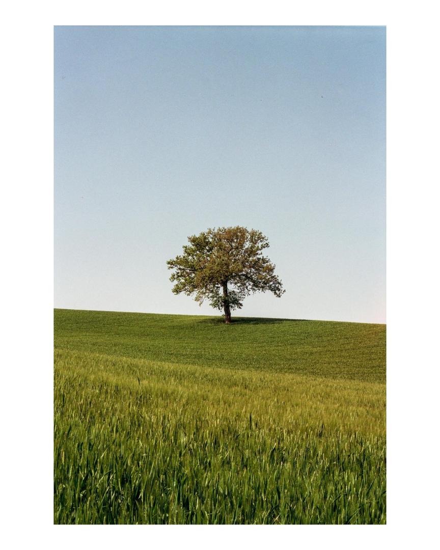 Walking around Umbria, Italy, shot on FUJIFILM ST801