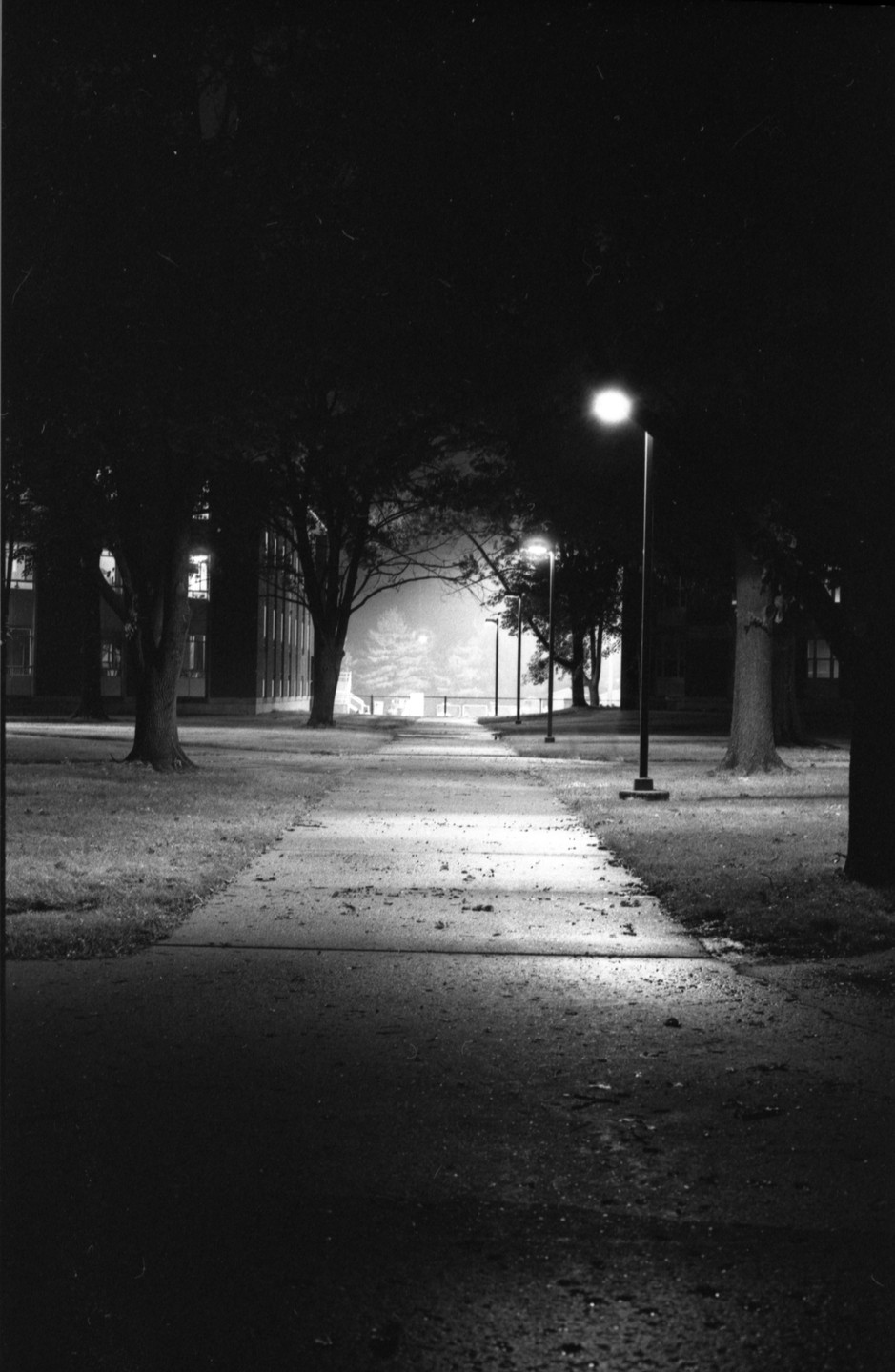 A paved path is illuminated by streetlights at night, with trees and buildings visible in the background.