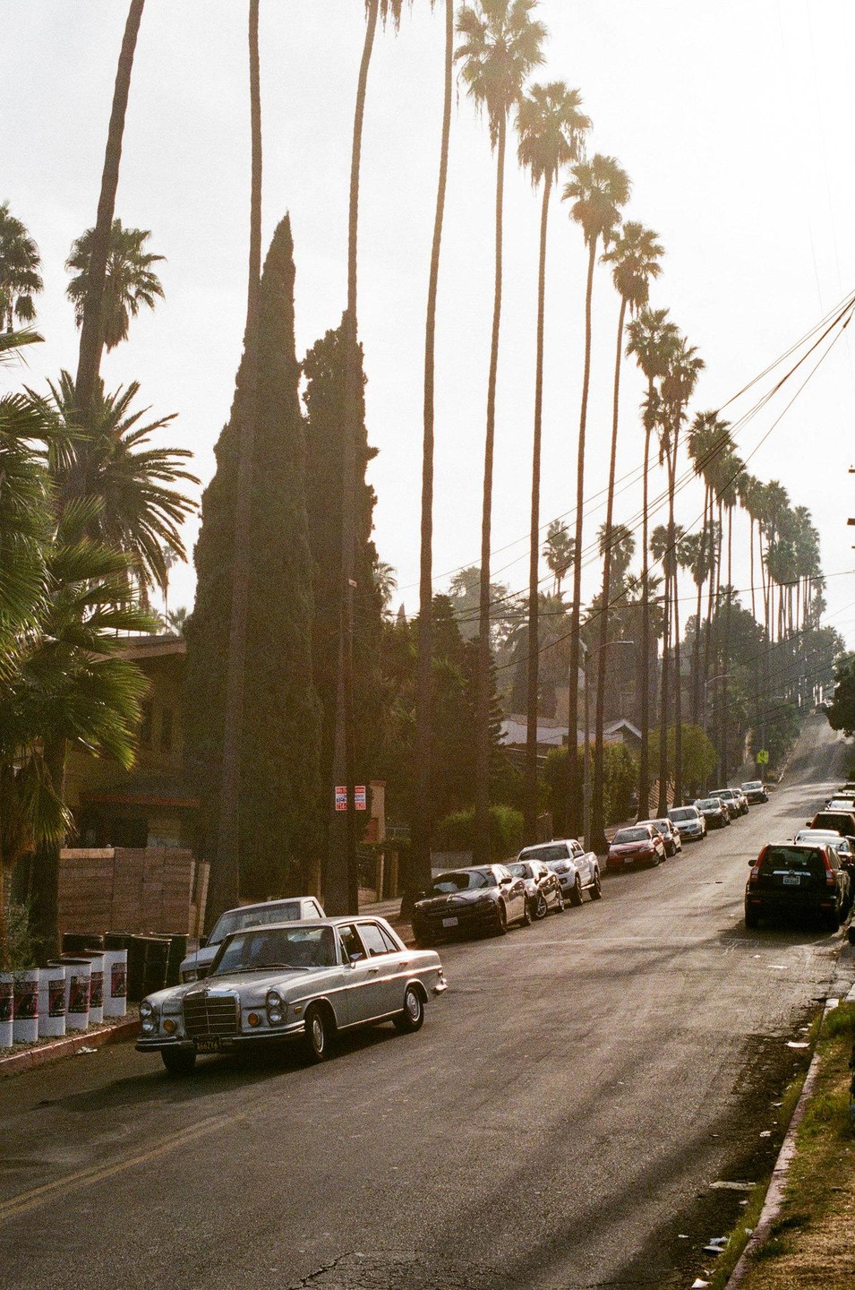 A silver car drives down a street lined with palm trees and parked cars.