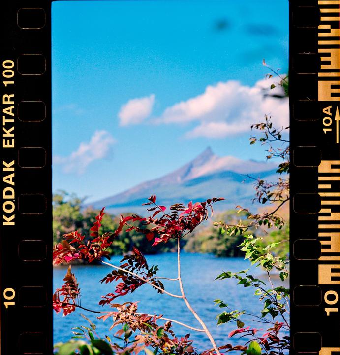 Red and green foliage frames a lake with a mountain in the distance under a blue sky.