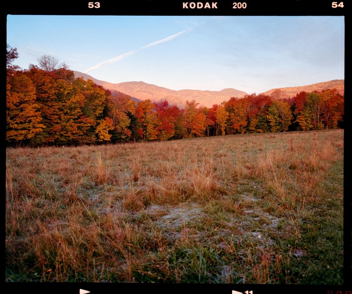 A field of frosted grass sits before a line of autumn trees and distant mountains under a clear sky.