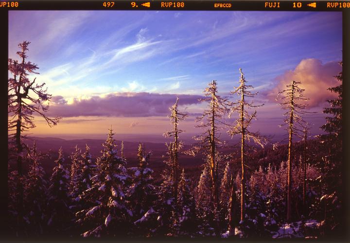Snow-covered trees stand on a mountain with a dramatic sky at sunset.