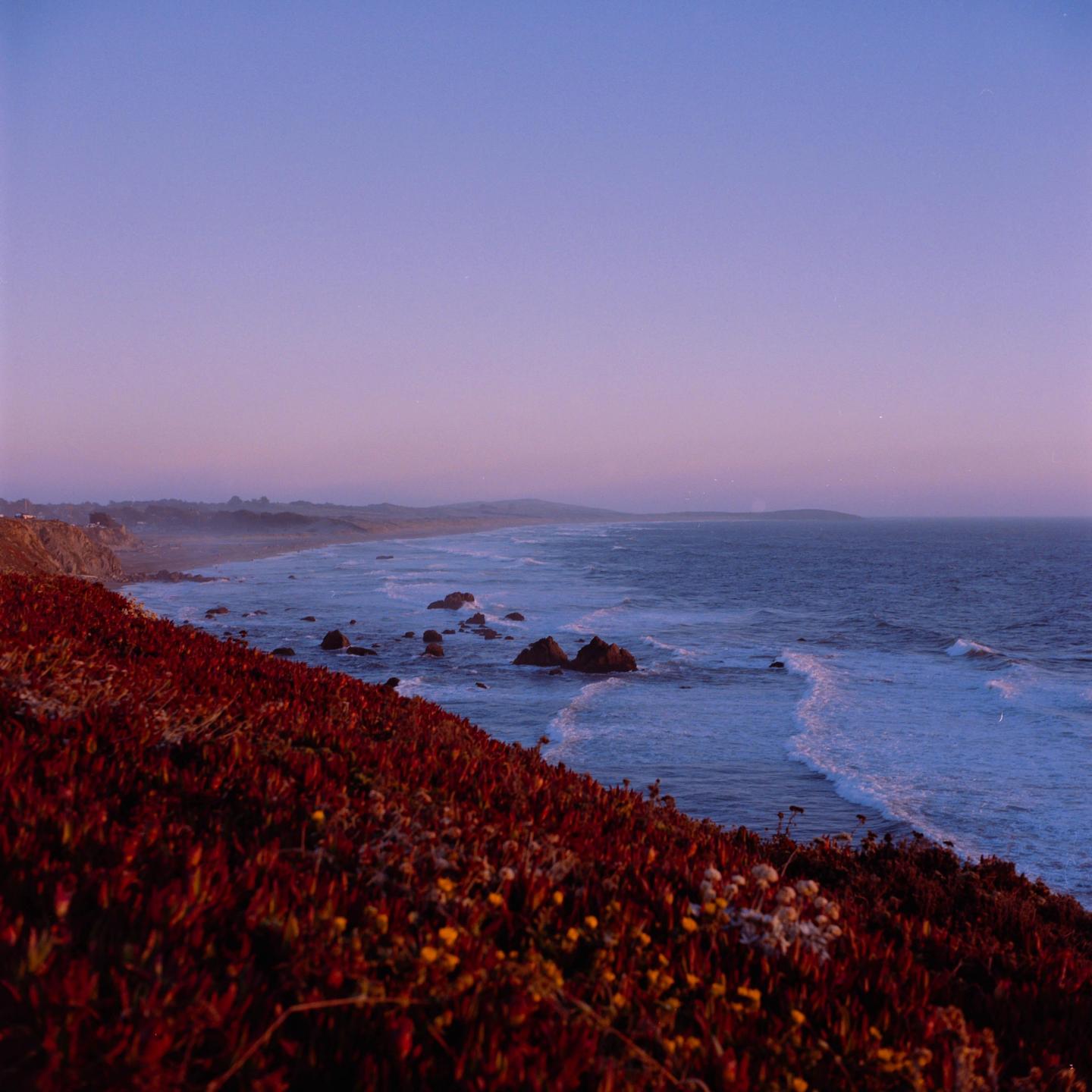 A coastal landscape shows a hillside covered in red foliage overlooking a beach with waves crashing on rocks under a purple sky.