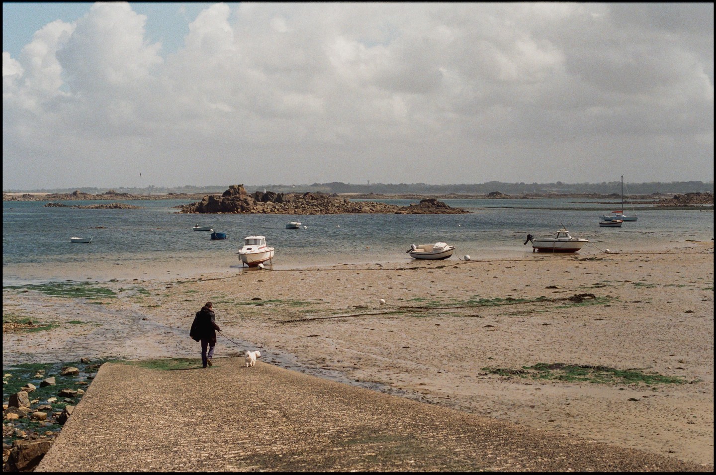 A person walks a small dog on a concrete ramp leading to a muddy beach with several boats and rocky islands in the distance.