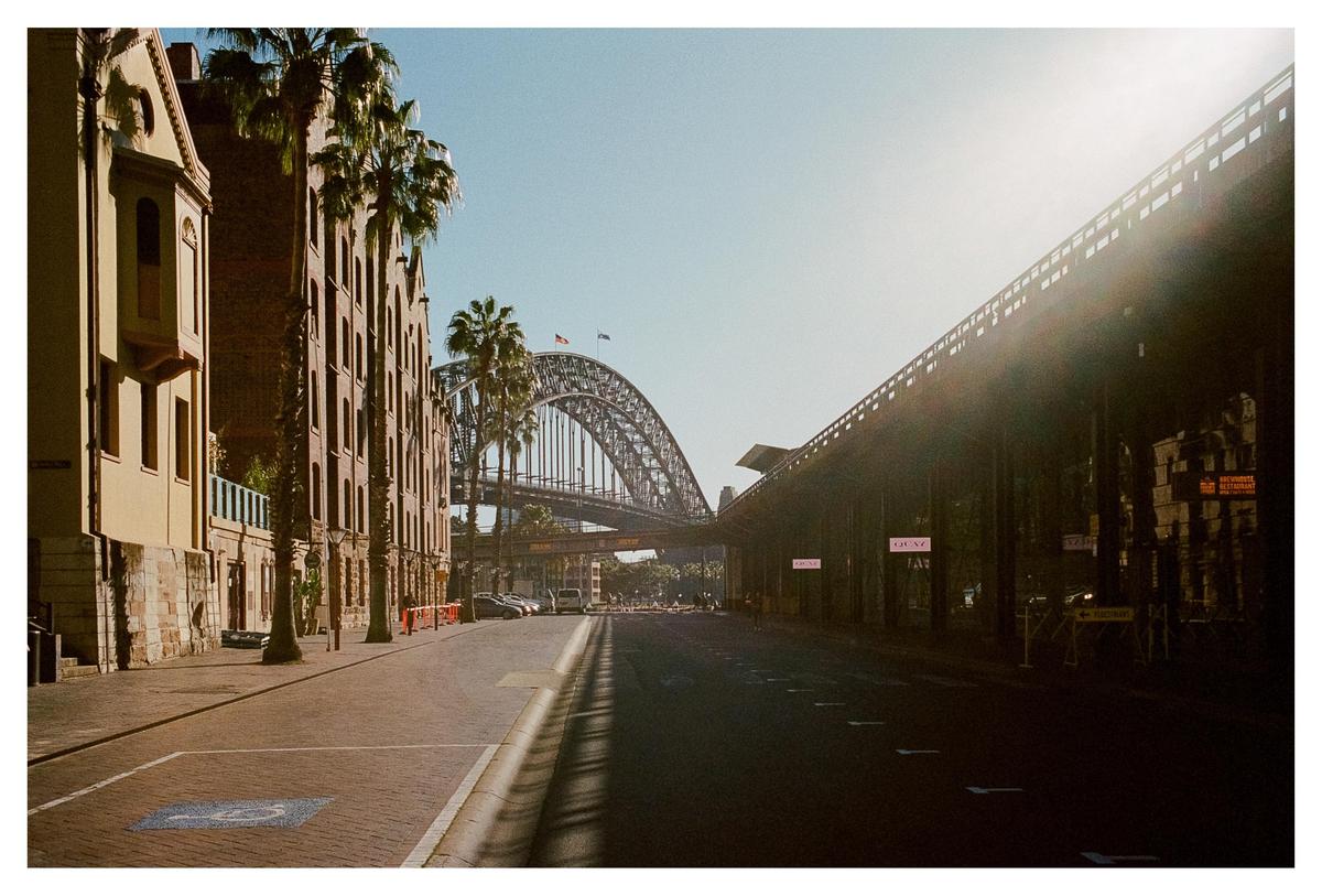 A street with buildings and palm trees on the left leads to a large bridge in the distance, with sunlight flaring from the right.