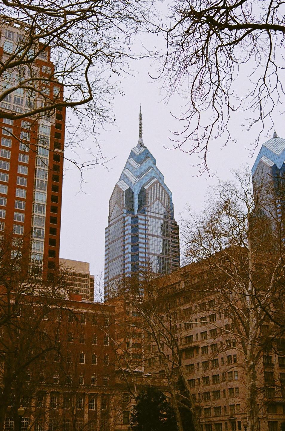 Bare tree branches frame a tall, modern skyscraper with a pointed top, surrounded by other buildings.