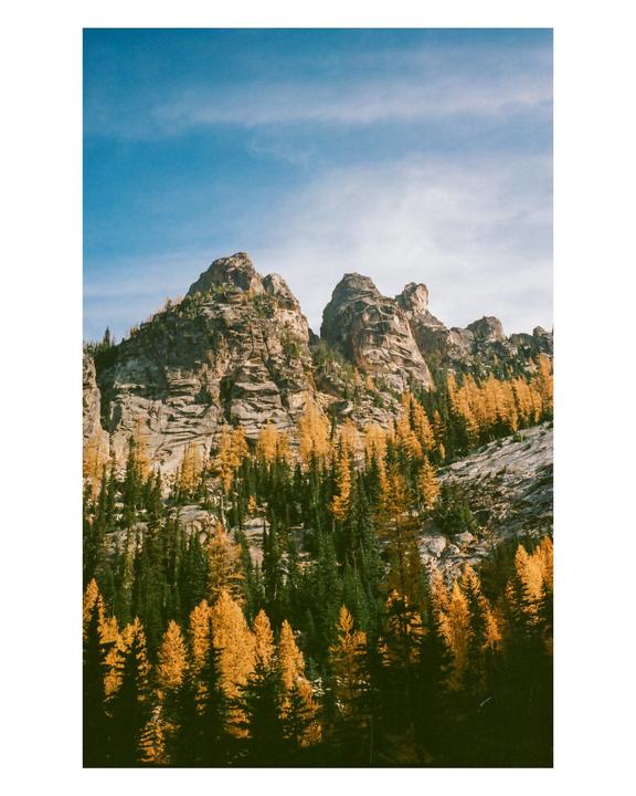 A mountain range is covered with green and golden trees under a blue sky.