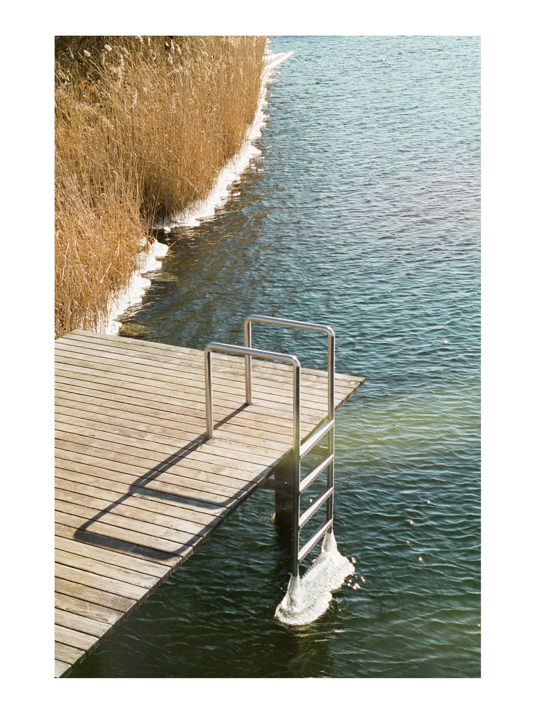 A wooden dock with a metal ladder extends into a body of water, with reeds and ice along the shore.