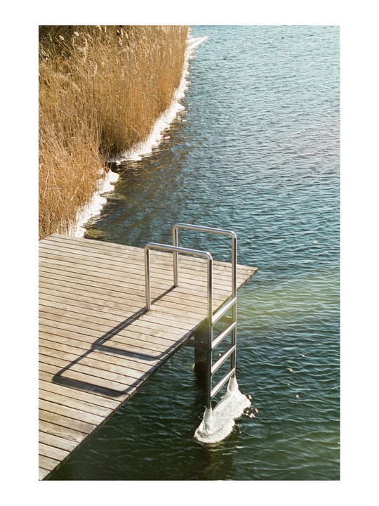 A wooden dock with a metal ladder extends into a body of water, with reeds and ice along the shore.